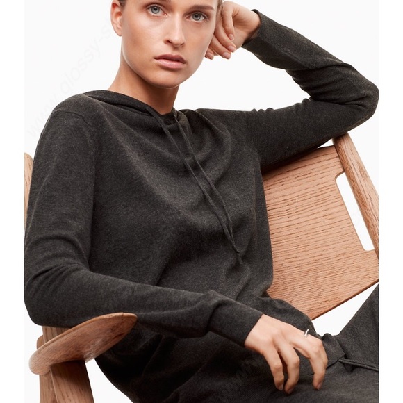 Aritzia Sweaters - The Group By Babaton Ginsburg Hoodie Charcoal